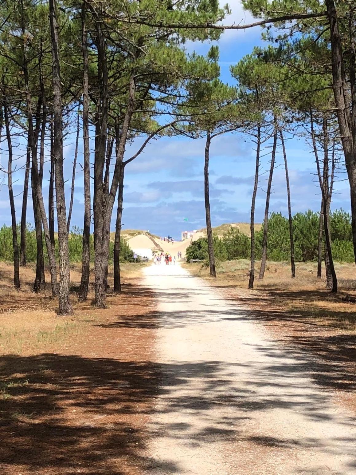 Almigeda Villa Les Mathes Exterior photo